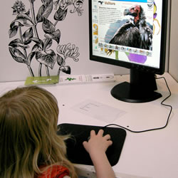 young girl using a computer