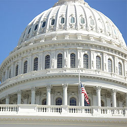 Close-up of the dome of the U.S. Capitol building